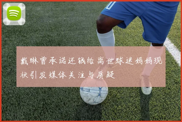 戴琳曾承诺还钱给离世球迷妈妈现状引发媒体关注与质疑