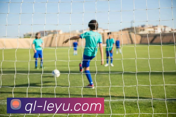 乐鱼体育品牌故事