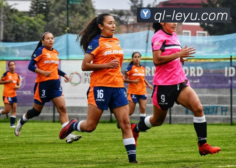 乐鱼体育服务体系